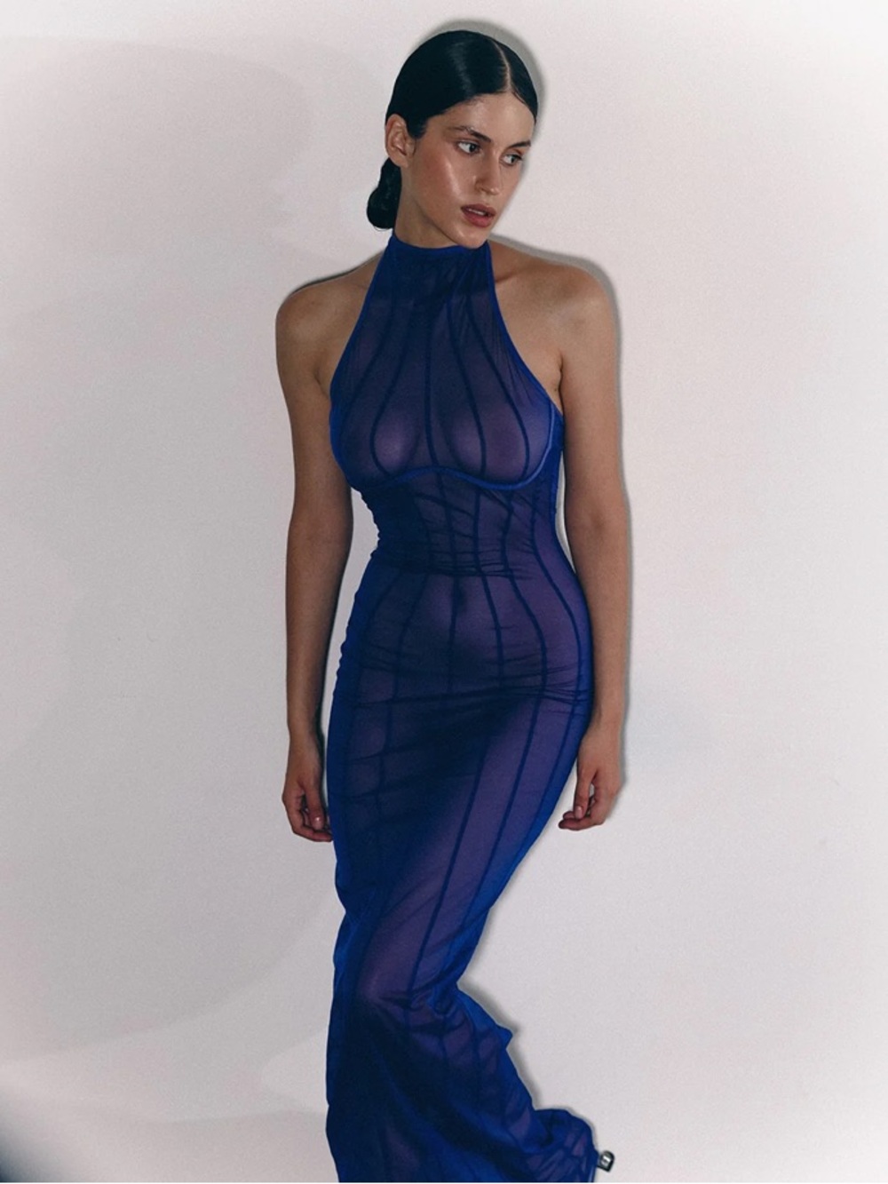 Anoeses Sheer Mesh “Dea” Maxi Dress NWOT